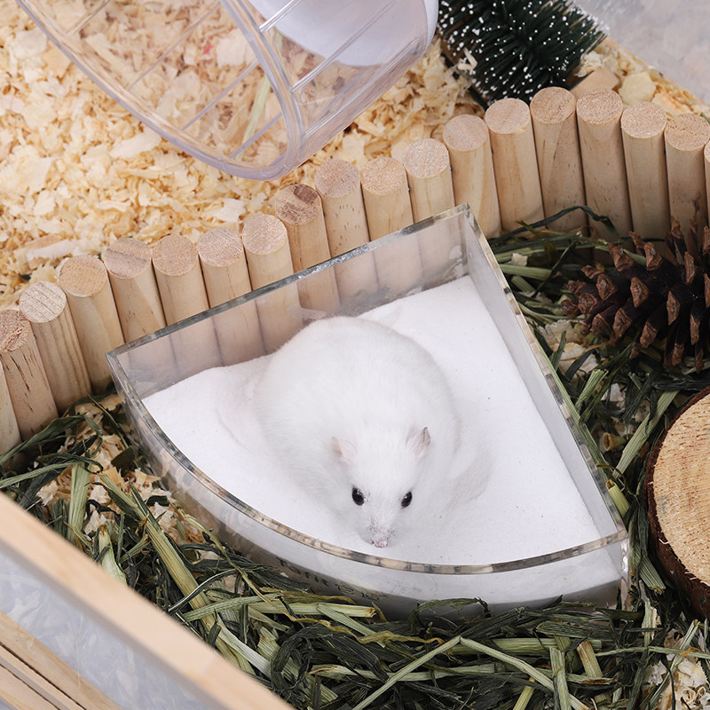 仓鼠浴沙浴室杀菌除臭金丝熊专用厕所洗澡木屑浴沙