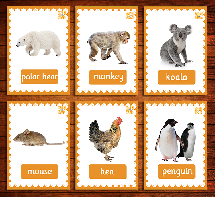 英文英语彩色动物卡片闪卡大卡幼儿园早教03岁早教闪卡