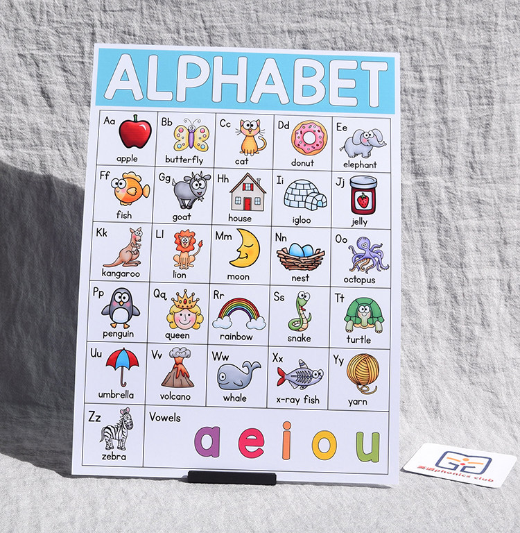 英语自然拼读phonics卡片闪卡早教启蒙发音规则早教闪卡