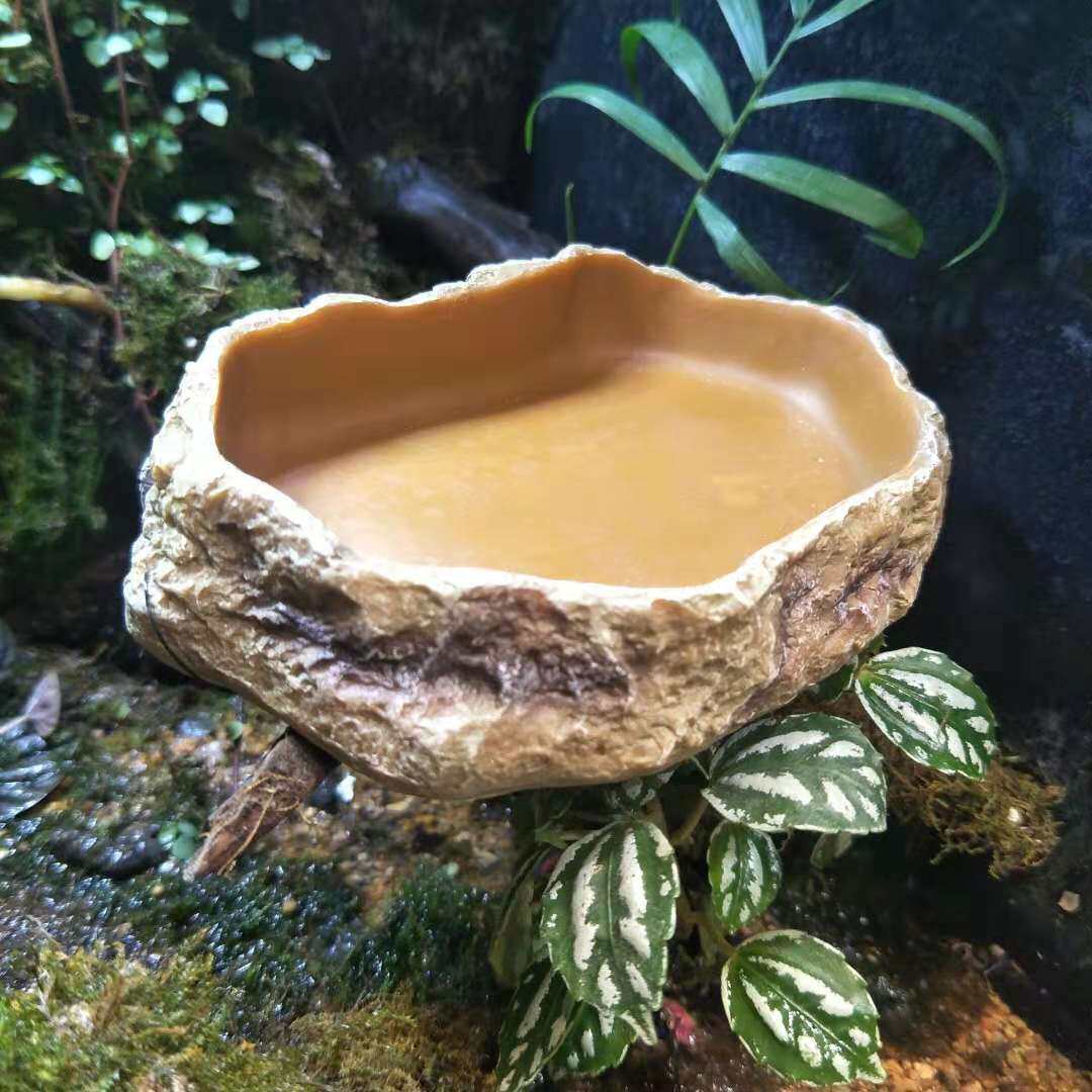 喂食树脂爬宠水盆食盆蜥蜴守宫造景岩石爬虫爬虫