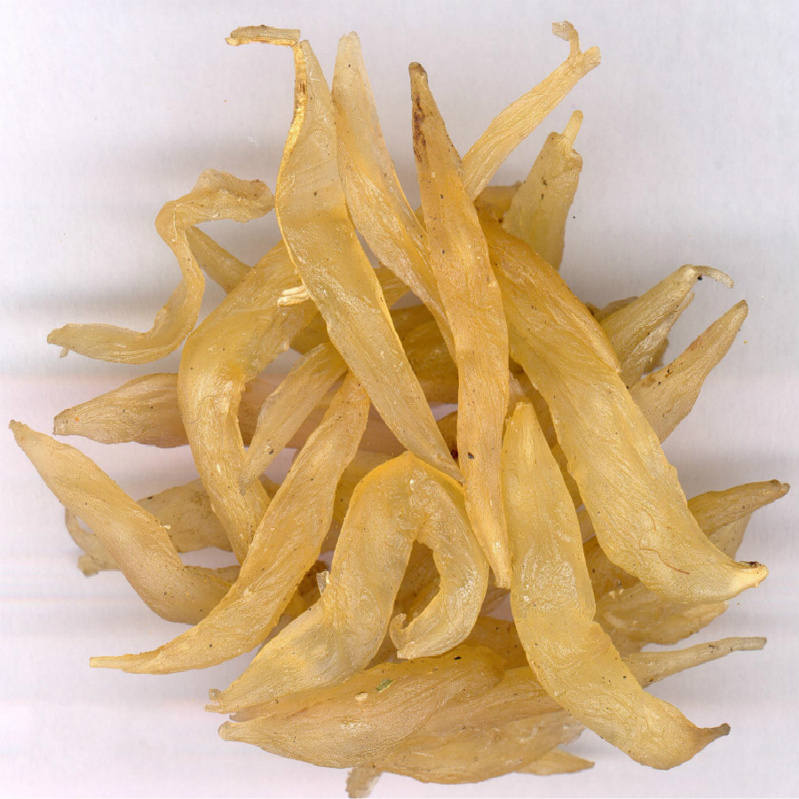 中药材野生新货天冬无硫天门天冬门500克其他药食同源食品