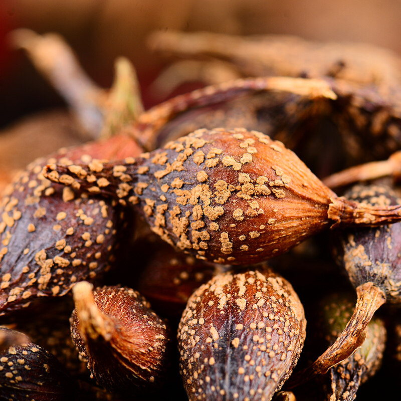 连翘正品中药材精选青翘 青连翘 连轺 连翘心 连召 连翘 500g包邮