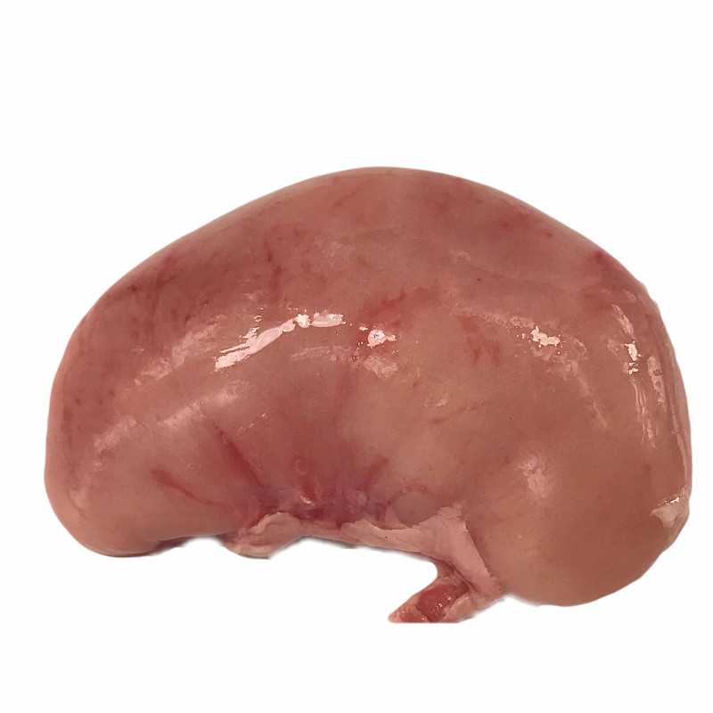 公鸡腰子新鲜鸡肾睾丸蛋蛋冷冻特色烧烤大个其它