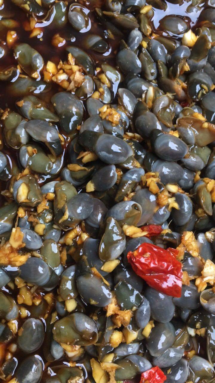 新鲜500g一斤福建莆田农家腌泥特产黄泥螺包泥螺