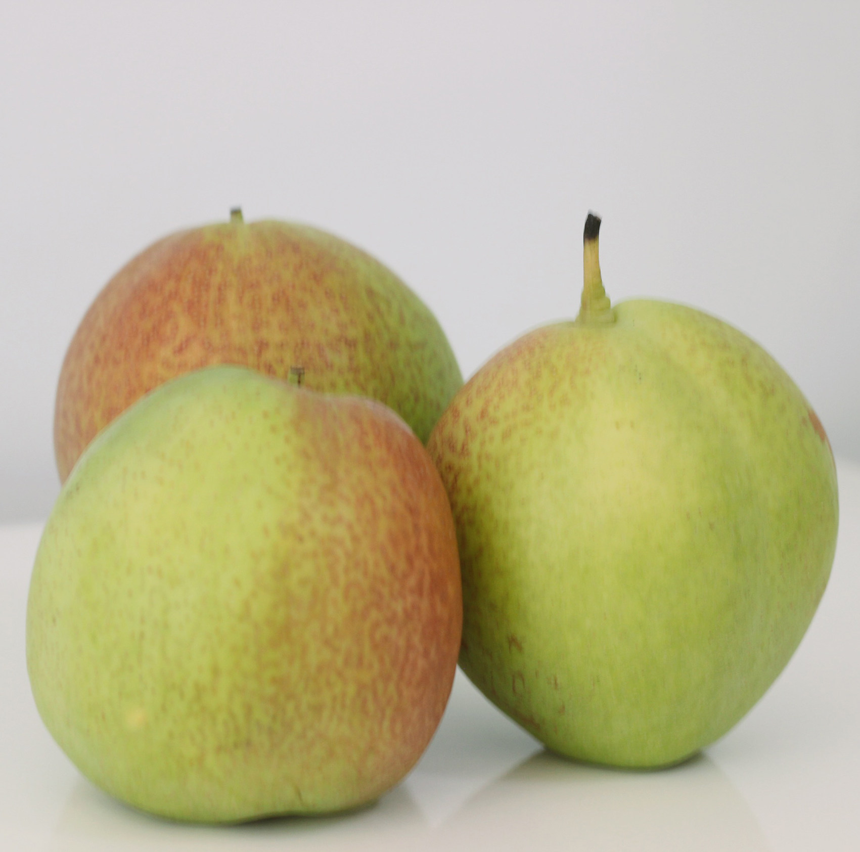 阳信媚梨新梨七号精选梨子新鲜水果包邮5斤当季现摘红皮香酥梨