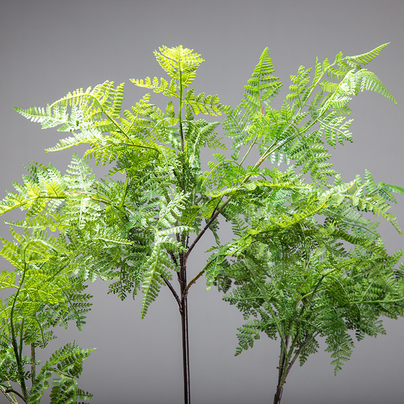 北欧装饰摆件马尾大型仿真绿植蕨类植物盆栽仿真植物盆景