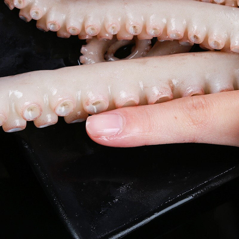 爆头八爪鱼鲜活 超大章鱼海鲜水产网红快手长腿八抓鱼大爆头_双氙车灯