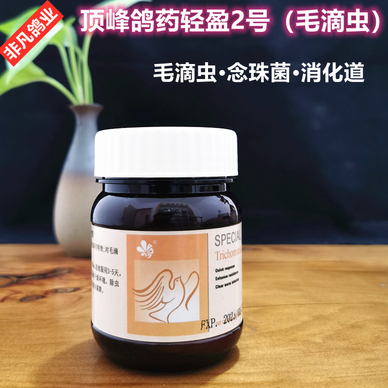 赛鸽进入店铺非凡鸽业