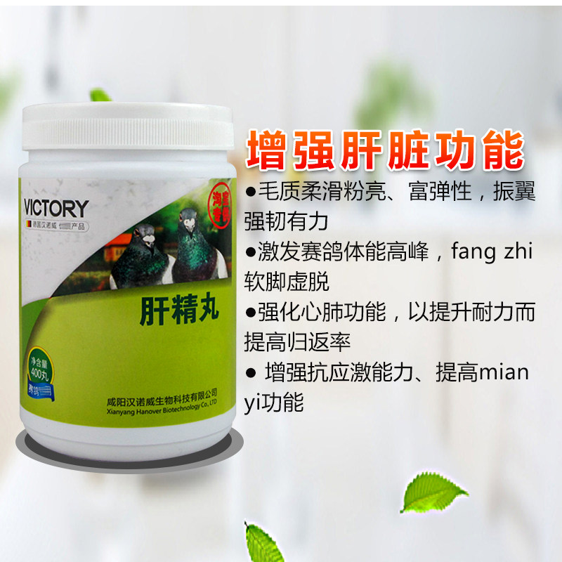 汉诺威鸽药大全肝精赛鸽信鸽强肝拍防止用品鸽子医疗用品
