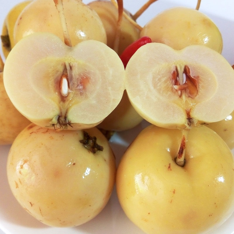 信宜山楂特产 罐装盐水泡山楂果 茂名大成妹瓶装原味酸辣凉果