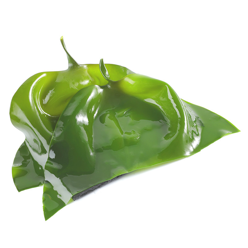 福建霞浦5斤装海带头盐渍新鲜海带根头非特海带