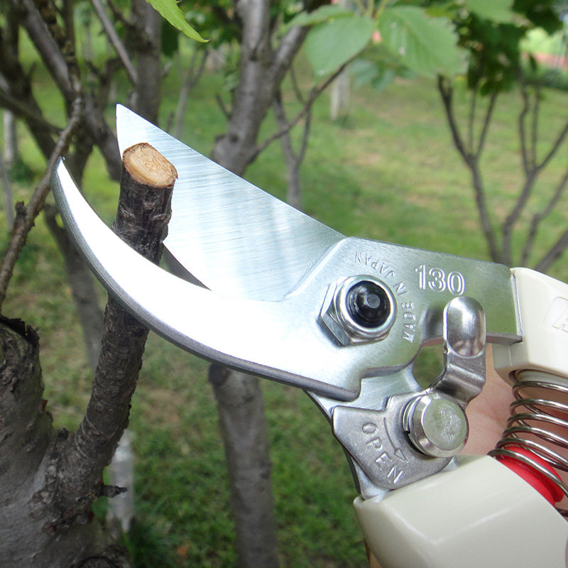 日本爱丽斯原装ars爱丽丝130dx修枝剪花剪枝剪果树剪chs7正品剪刀