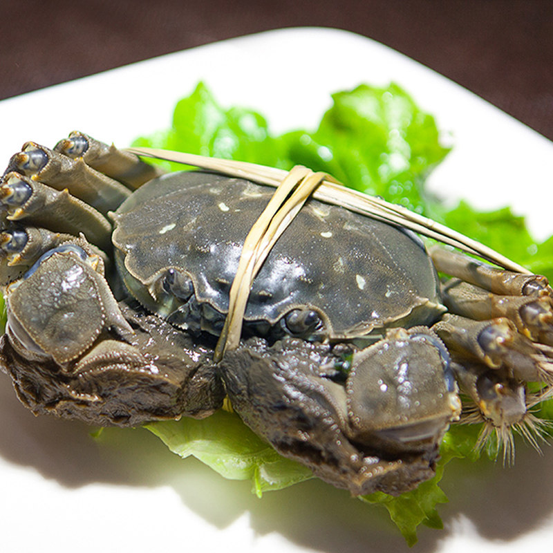 精品太湖大闸蟹鲜活现货10只5公5母螃蟹鲜活大闸蟹正宗太湖蟹顺丰
