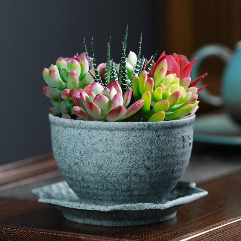 多肉陶瓷花盆托盘植物文竹创意小口径菖蒲老桩盆花盆