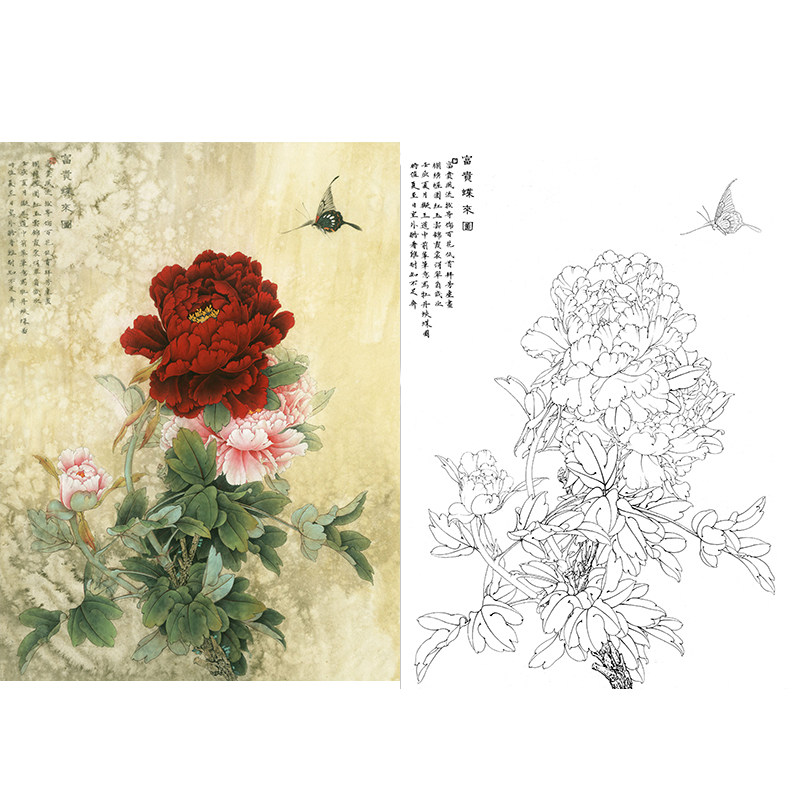 工笔画打印白描底稿牡丹小品6幅一套有步骤初学者国画