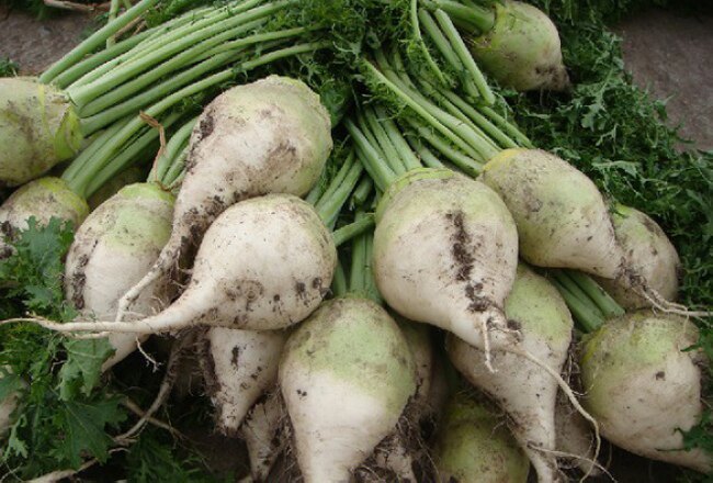 宿迁特产辣疙丝 鲜辣疙瘩丝 大头疙瘩丝 地方特产 土特产500克