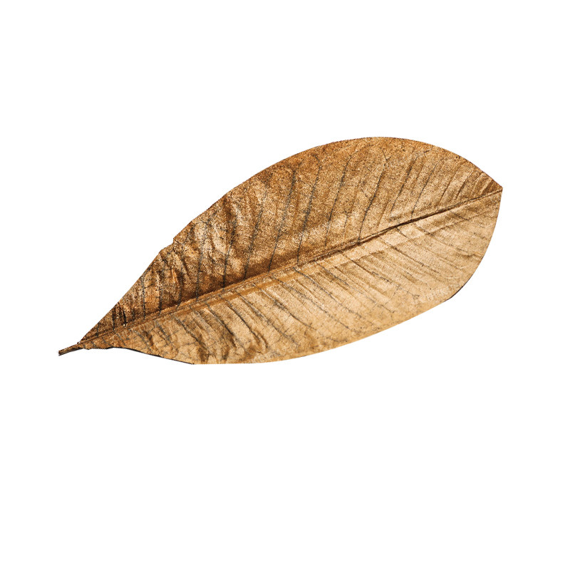 寿司烧烤摆盘装饰刺身日本料理干朴叶湿朴叶日真烤肉裱花嘴