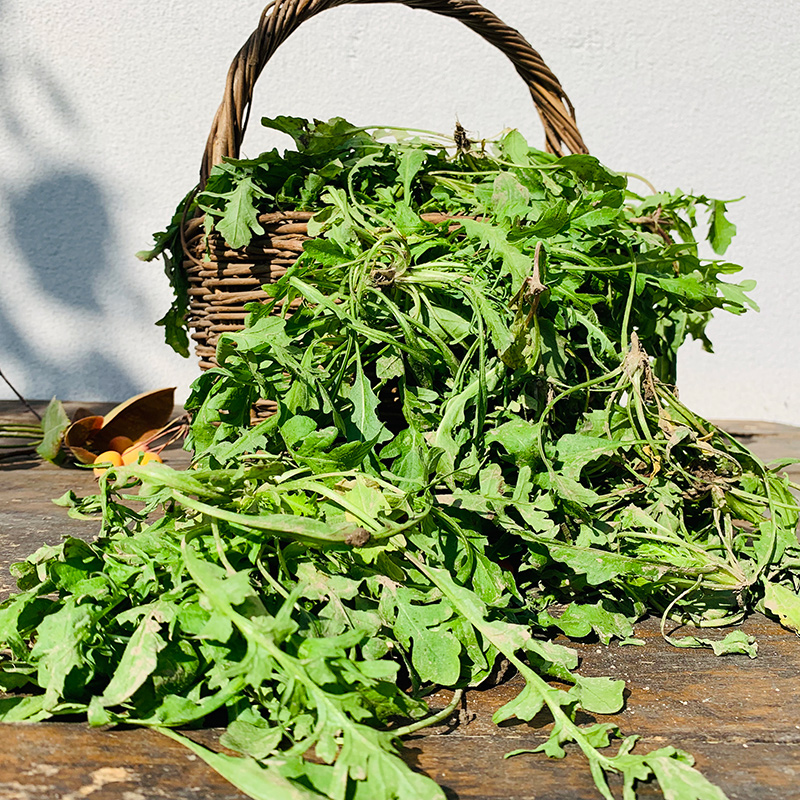 陕西秦岭地菜红花荠菜野菜新鲜时令农蔬菜芨芨菜5斤叶菜类青菜