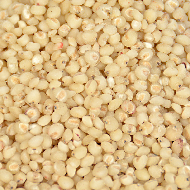 高粱米脱皮东北红高粱粗粮煮粥煲粥材料散装250g其它粮食