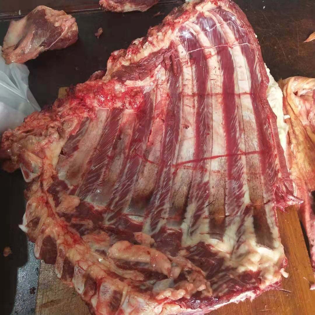 带肉驴架新鲜架子驴骨排骨大棒整套骨头包邮驴肉