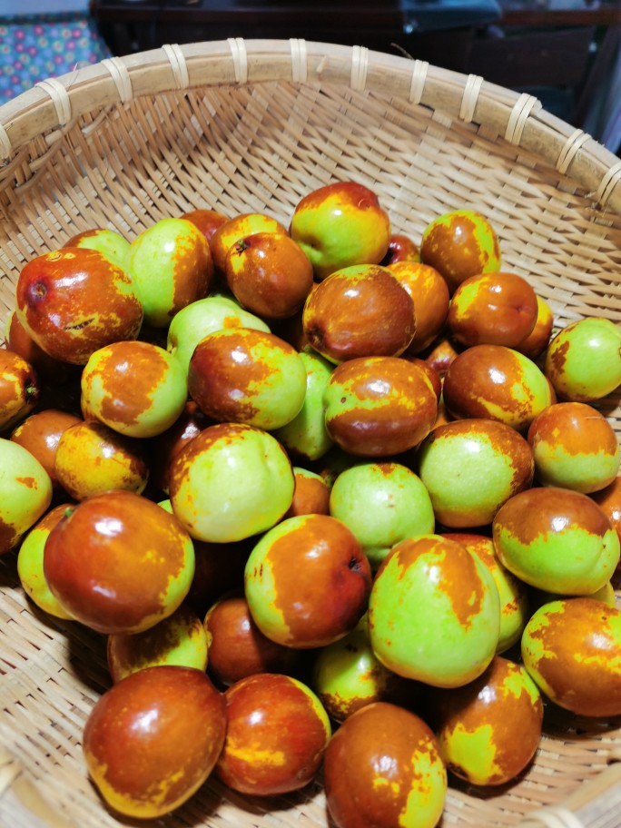 辽宁朝阳大枣孙家湾大铃铛枣脆甜鲜枣金凌圆枣