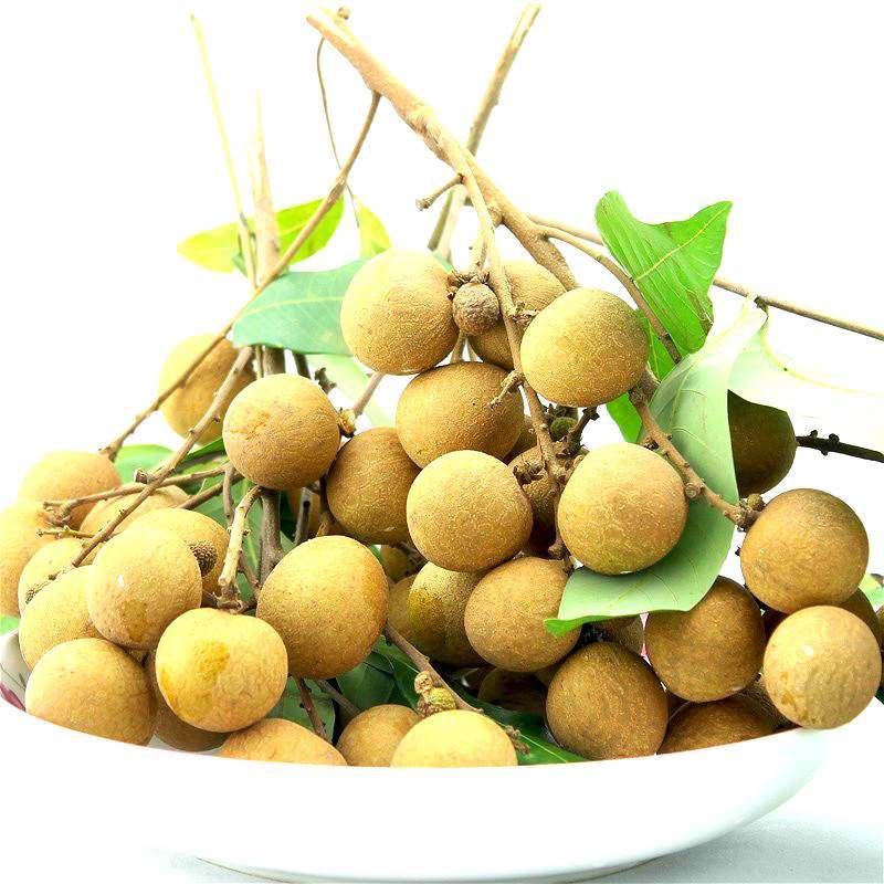 广西龙眼石硖储新鲜现摘现发桂圆5斤应当当季龙眼