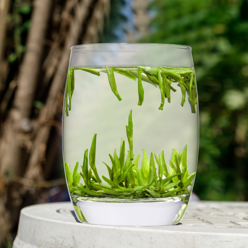 买2送玻璃杯2020新茶雀舌贵州绿茶嫩芽春茶特级明前散装茶叶125g