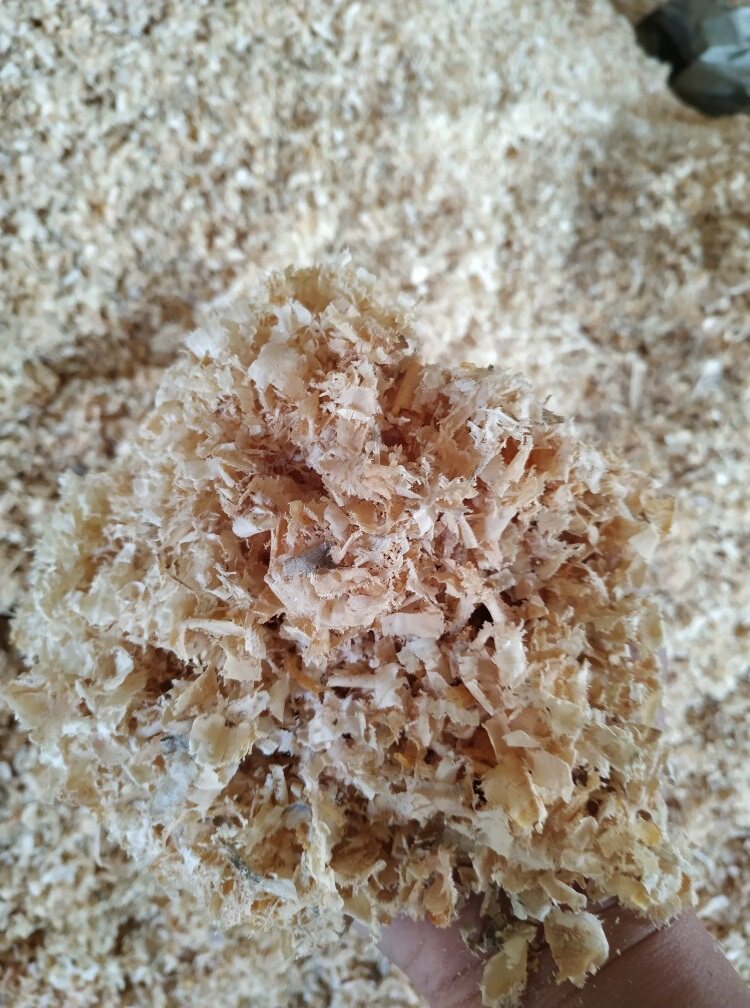 松木刨花垫窝清洁木屑锯末保暖仓鼠宠物除臭垫料