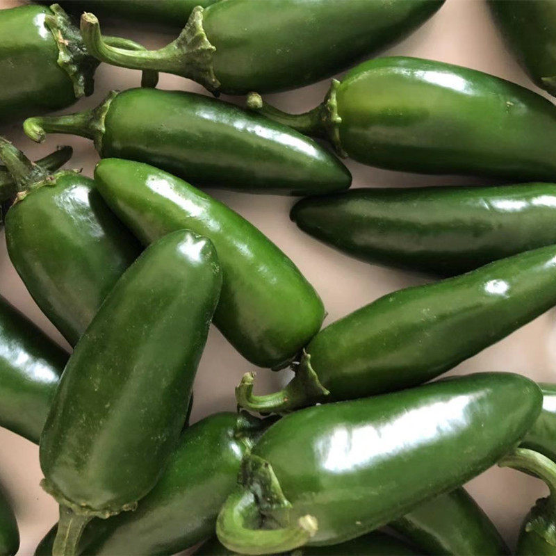 新鲜辣椒港椒特辣墨西哥腌制泡椒肉厚脆油焖港辣椒