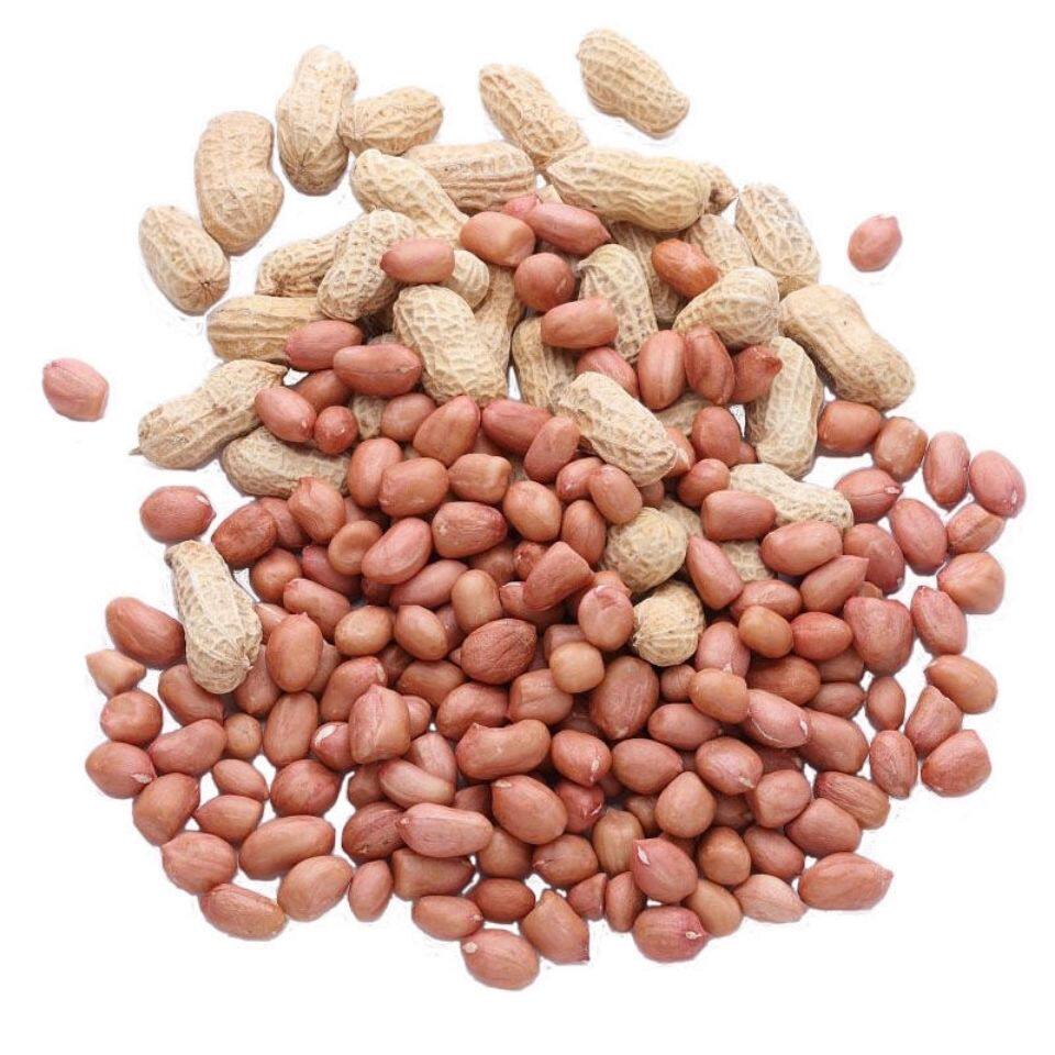 花生如皋农家花生2021新花生带壳干花生生花生可水煮