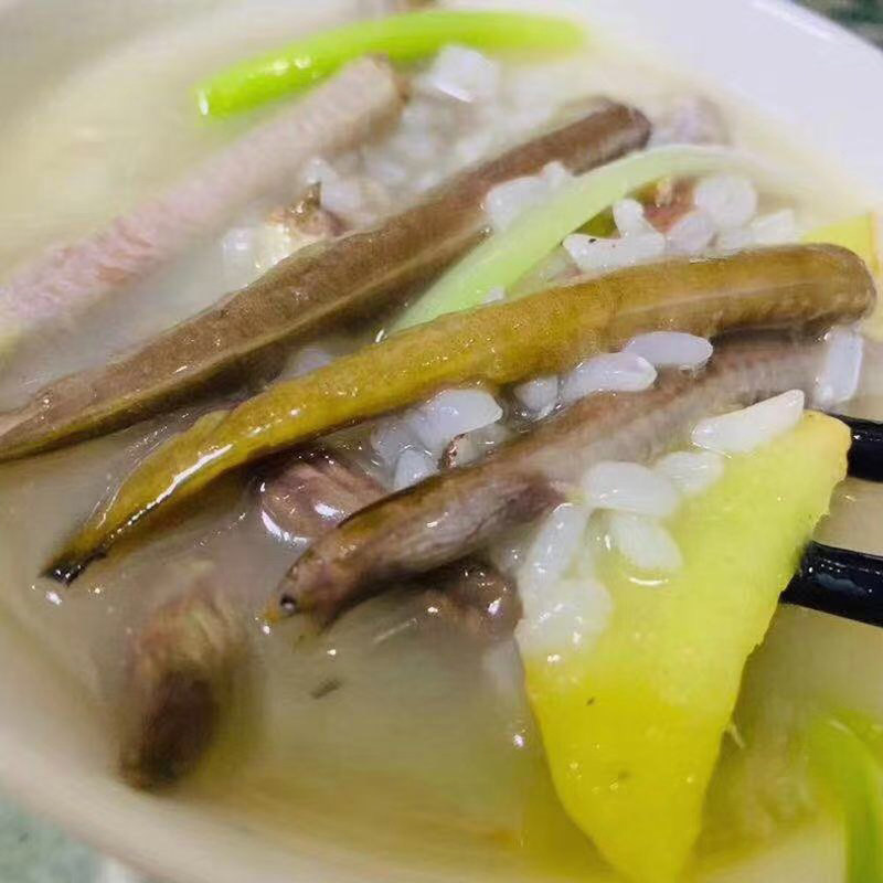 东山岛本港海鲜活鳗鱼中华须鳗活卢鳗花蛇鳗冷冻鳗鱼