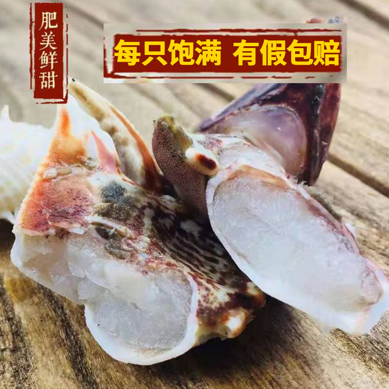 4斤面包大蟹钳鲜活现元宝大蟹脚馒头头大蟹脚梭子蟹