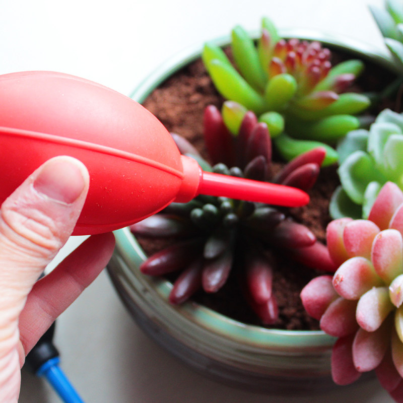 园艺用品橡胶气吹多肉植物气吹电脑相机气吹强力清洁气吹迷你气吹