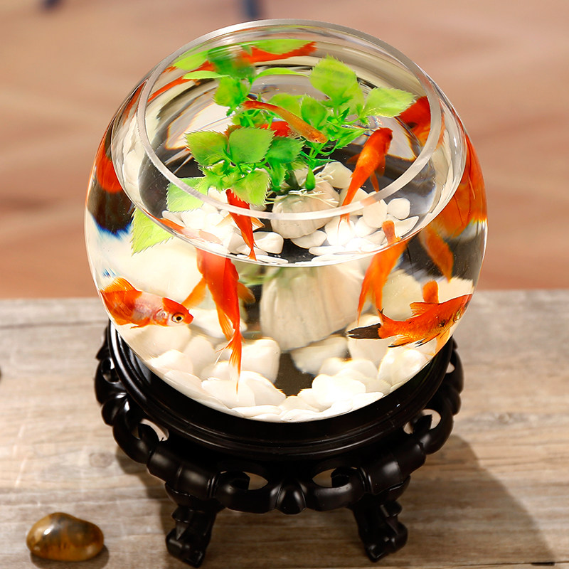 透明玻璃生态鱼缸花瓶,可多用途,养鱼养乌龟养水培都可以用,好看实用