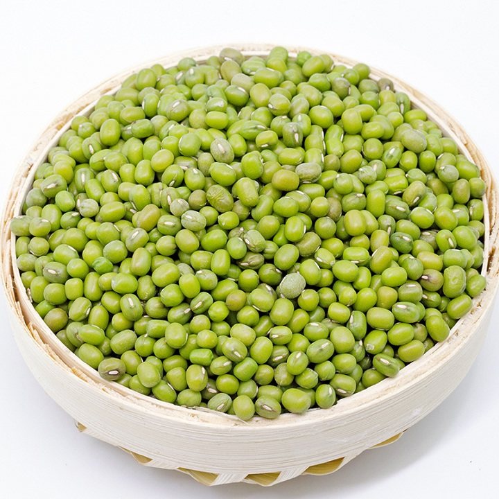 龙江原产地直供东北绿豆5斤新鲜农家自产自销五谷杂粮油豆浆豆芽