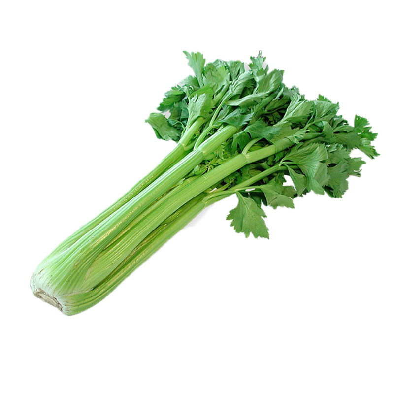有机汇有机西芹新鲜芹菜有机蔬菜配送农家青菜饺子馅榨汁450g菜