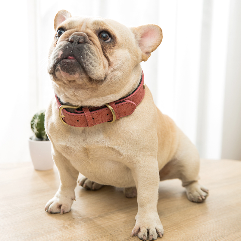 法斗双环可定制项圈狗狗斗牛犬脖圈刻字防丢巴哥项圈