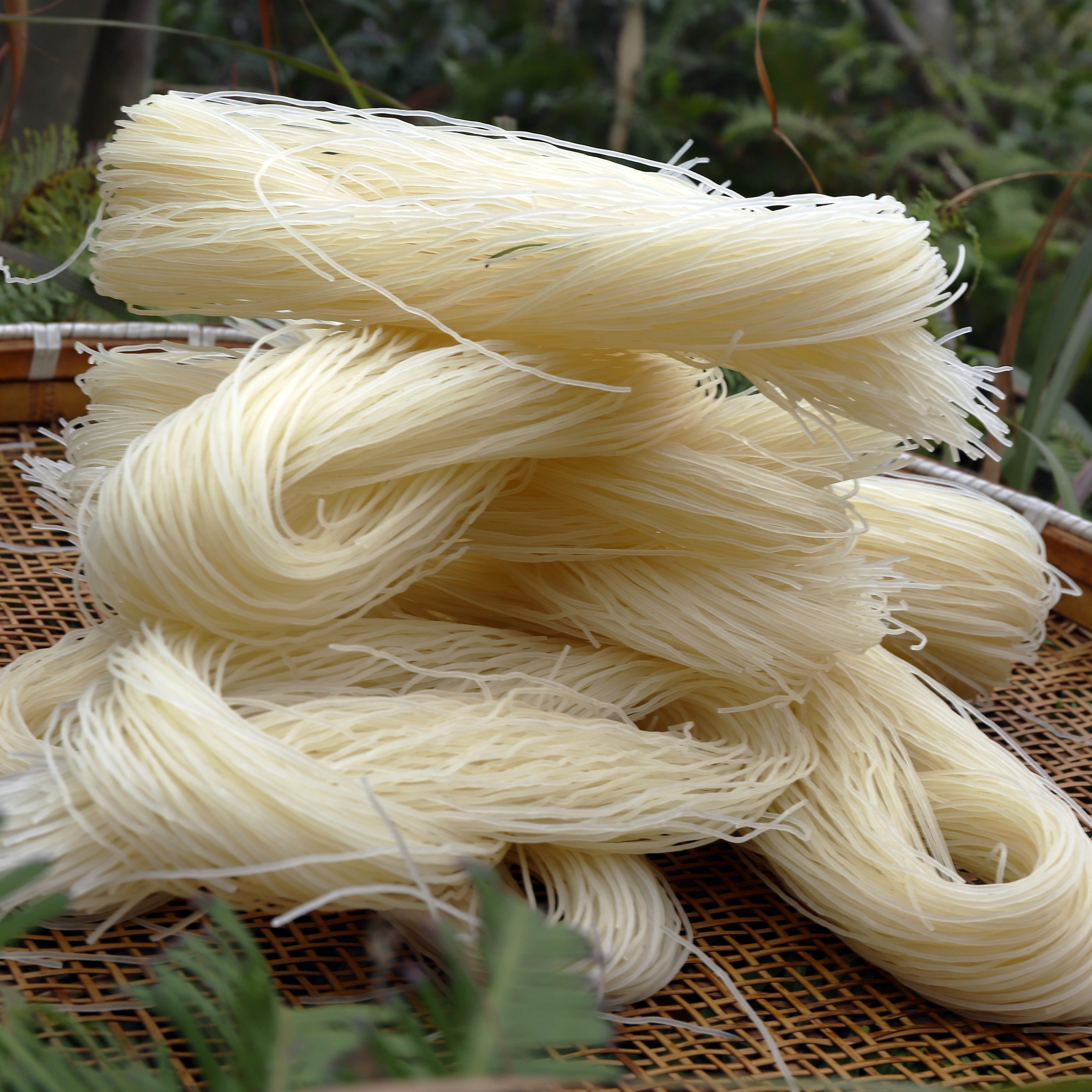 温州米线粉干制作手工制手工特产五斤袋装米粉方便粉丝