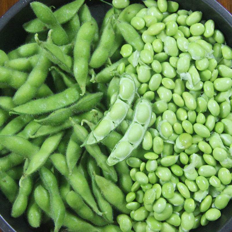 现摘豆荚毛豆荚种植农家蔬菜豆子现发当季豆角其它