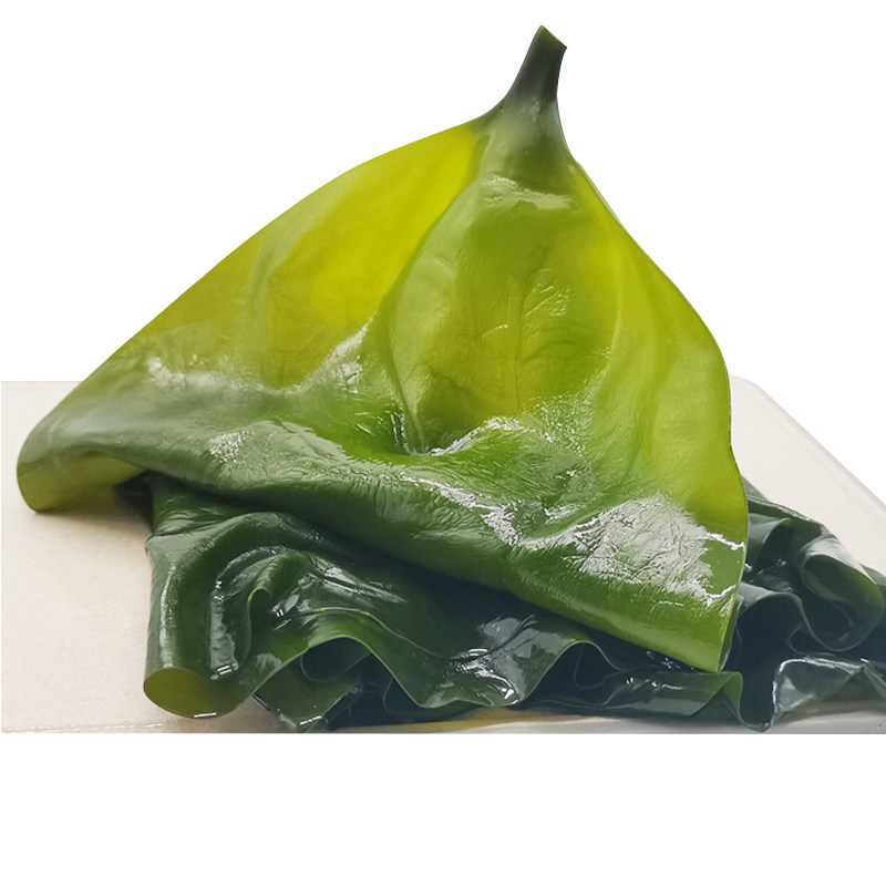 得辉盐渍海带3斤5斤整张福建省霞浦水产干货海带