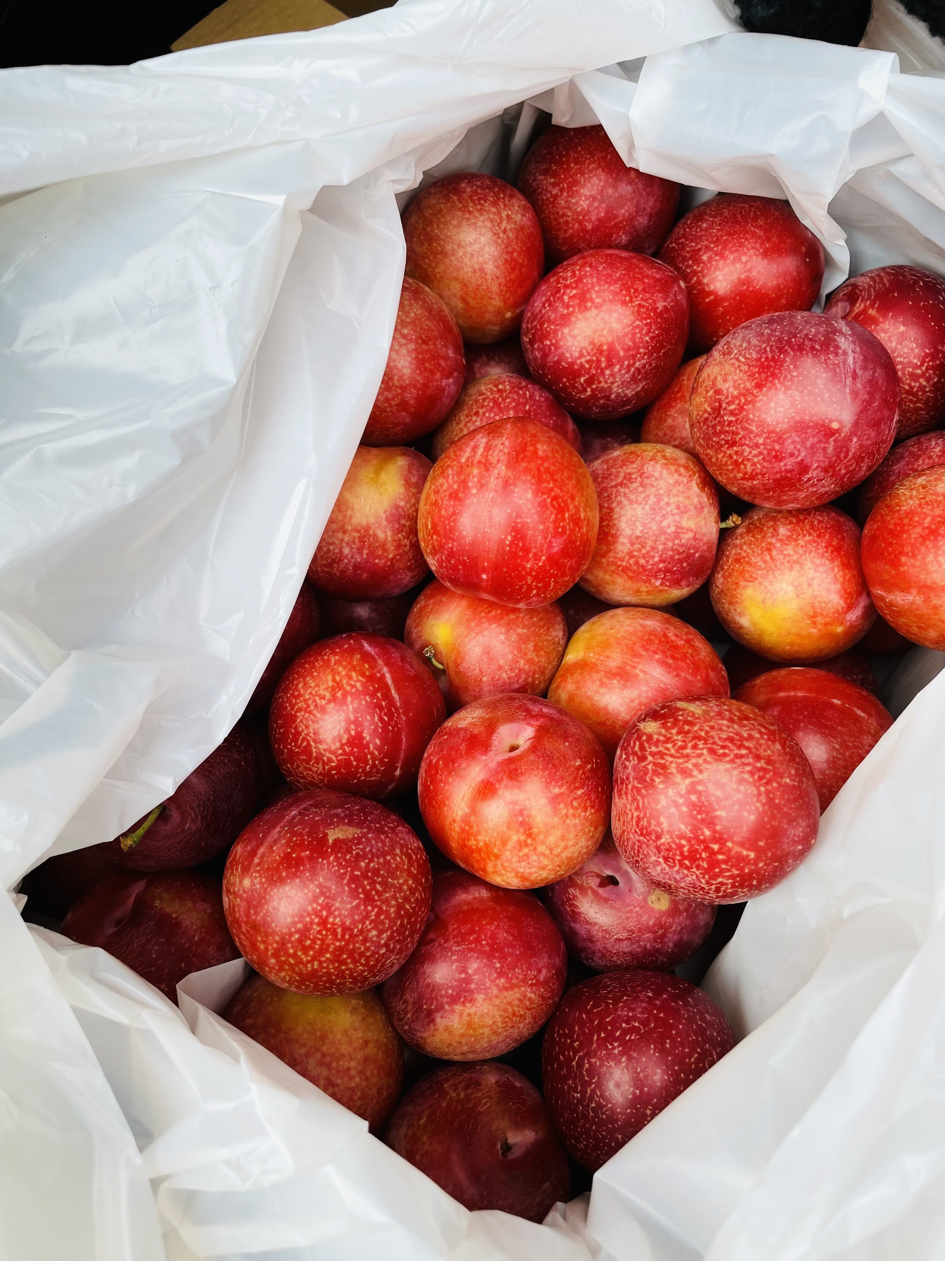 樱桃现货澳洲桃李巨无霸礼盒盒装4斤原箱进口李子