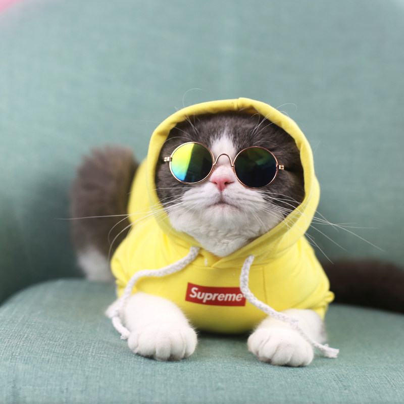 屋简猫咪带帽潮牌卫衣宠物春秋夏季薄款网红宠物服装