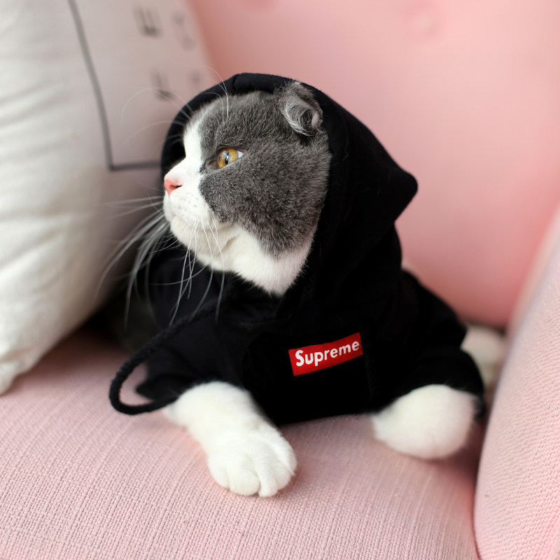 屋简宠物潮牌猫咪衣服英短美短春秋夏薄款短袖宠物服装