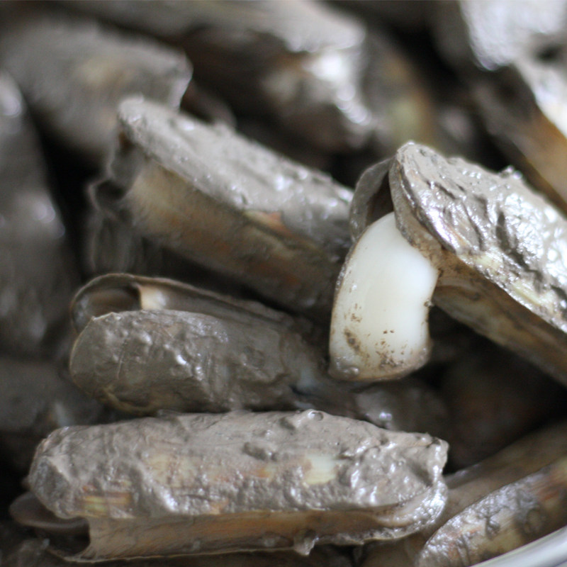 3斤正宗宁海长街带泥双头宁波特产海鲜鲜活蛏子
