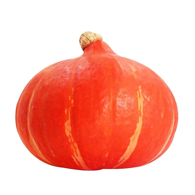 南瓜红蜜种籽好吃甜蜜中国板栗阳台盆栽庭院家庭园艺种子
