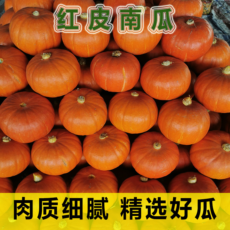 南瓜黄皮新鲜5斤圣诞雕刻圆形金丝红贝贝贝南瓜