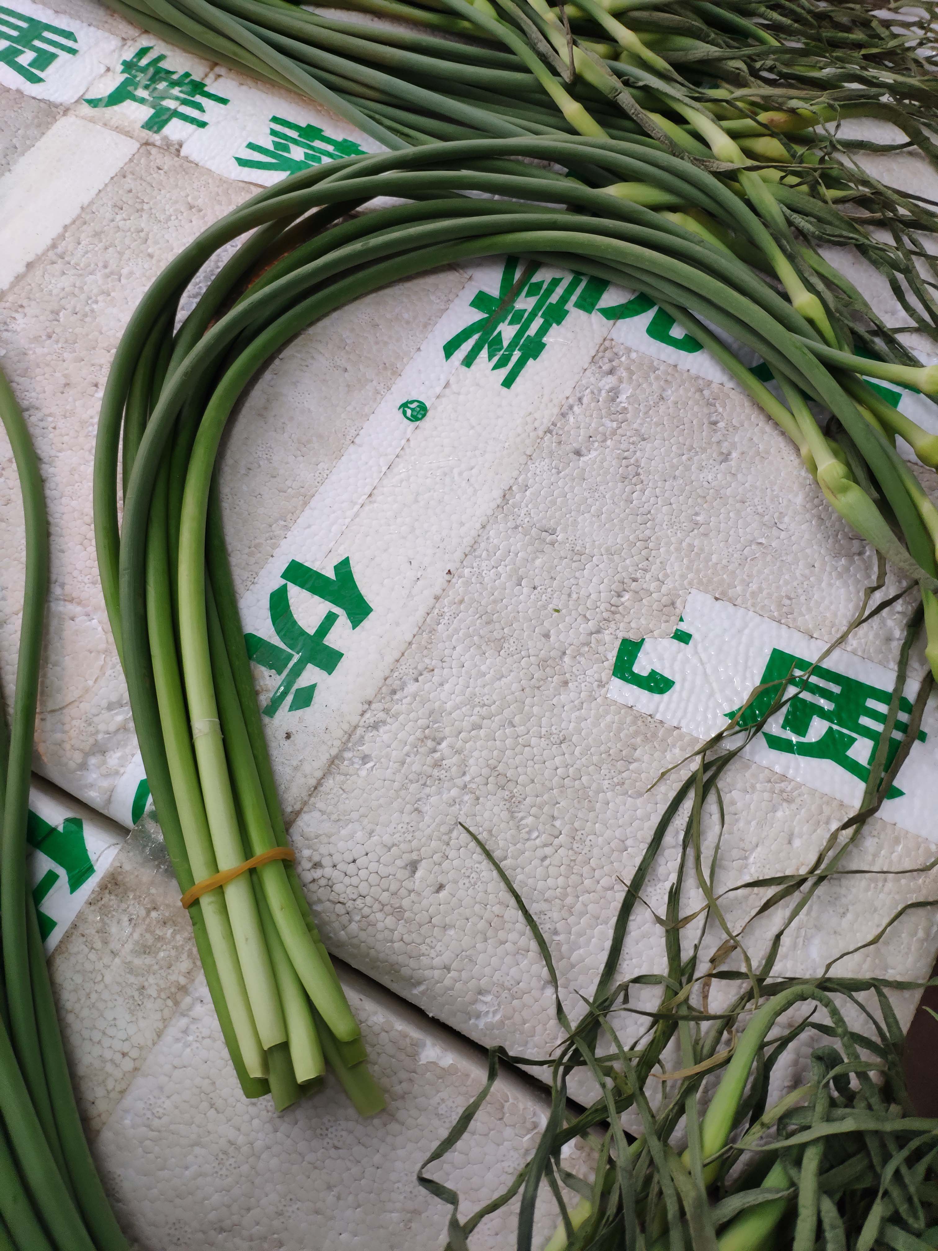 新鲜食用蔬菜蒜苔蒜毫青蒜农家无公害种植农产品其它