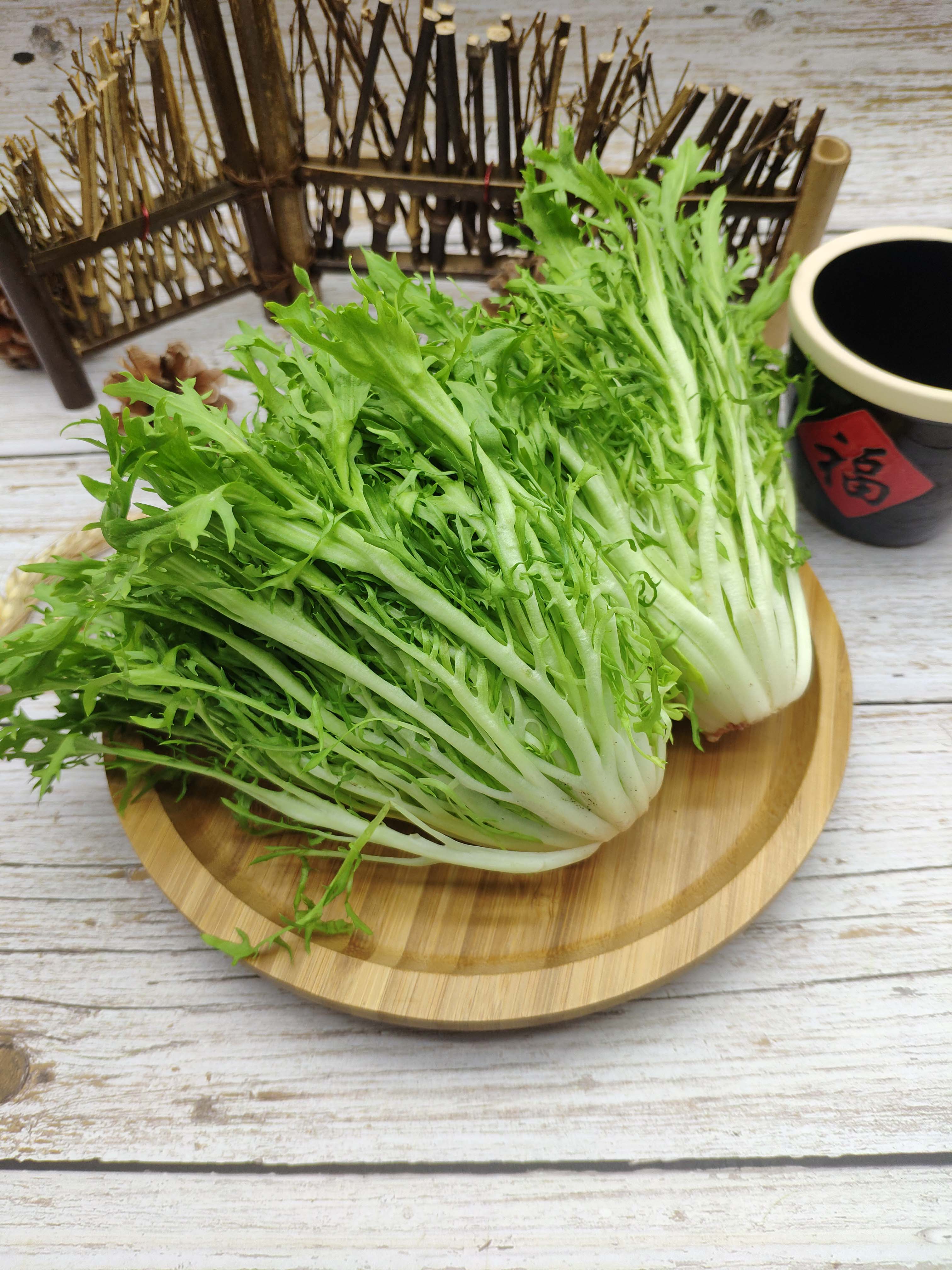 新鲜蔬菜苦菊苦叶生菜苦苣九牙西餐沙拉狗牙菜250g青狗芽