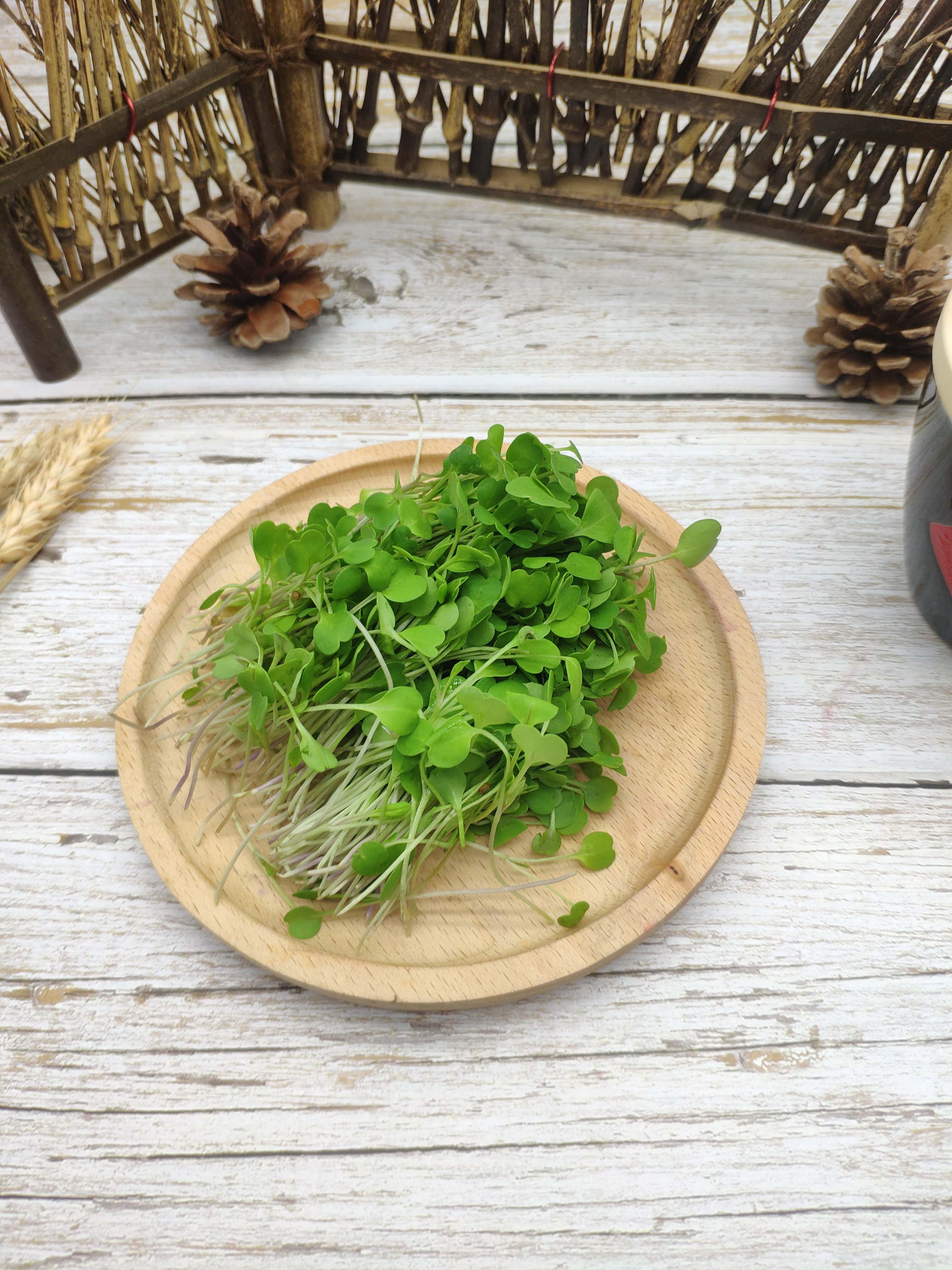 芝麻菜苗新鲜蔬菜食用苗芽微型西餐装饰摆盘其它