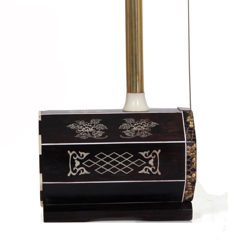 四胡蒙古檀骨铜杆檀红低音民族乐器送包弦弓四胡